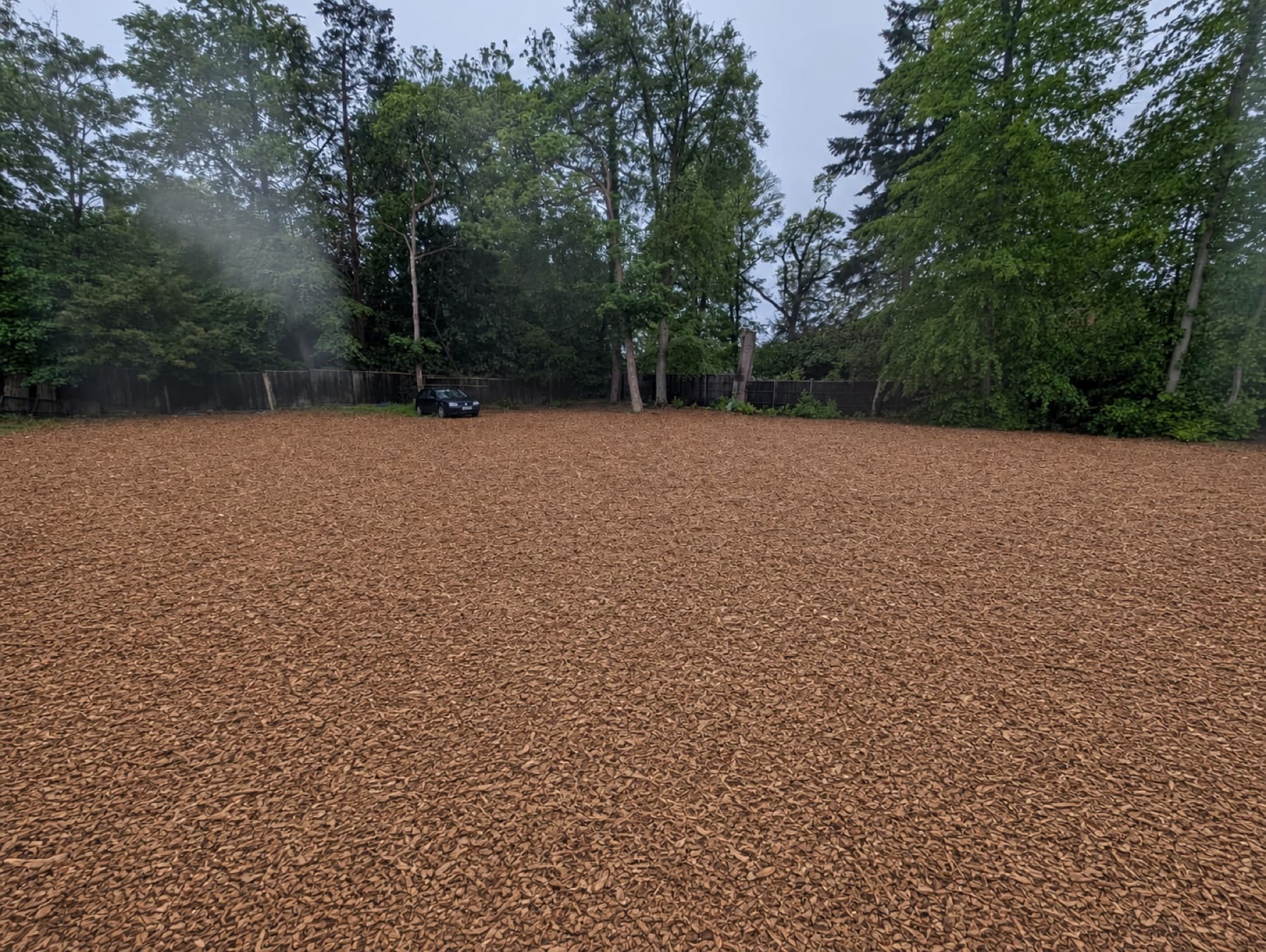 Cliveden Stud yard — fresh wood-chip surface surrounded by mature trees, with a single car parked near the perimeter